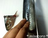 m塩鰯deしょうが煮作り方2写真