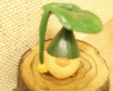 ふきのあっさりみそ浸し作り方5写真