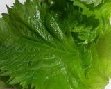 (´∀｀*)紫蘇ネギマヨポン納豆トースト作り方5写真