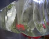 和だしをとる!(煮干し・水出し)みんと風作り方1写真