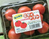 越前若狭✫やき鯖やきそば。作り方23写真