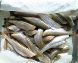 はたはたの酢漬け作り方1写真