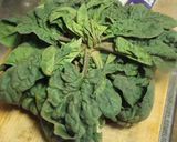 ほうれん草の牛乳煮作り方1写真