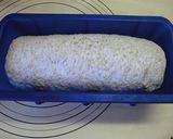 全粒粉&ライ麦たっぷりドイツ系パン作り方5写真