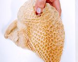 トリッパと白いんげん豆のトマト煮込み作り方3写真