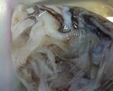 イカたっぷり塩焼きそば作り方1写真