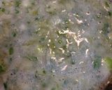 簡単な豆のスープ作り方9写真