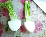 簡単に漬かる、サラダのような小蕪の漬け物作り方2写真