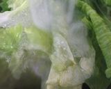 キャベツと卵の定番茹でサラダ作り方7写真