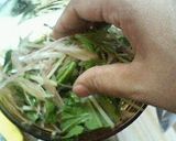 ミョウガと水菜のさっぱり冷奴作り方1写真