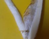 トラジのナムル作り方5写真