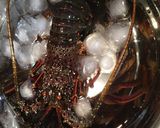 伊勢エビの刺身作り方1写真