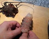 伊勢エビの刺身作り方6写真