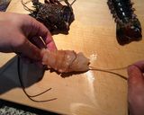 伊勢エビの刺身作り方7写真