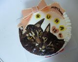 猫好きの為のバースデーケーキデザイン作り方5写真