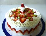 2013クリスマスケーキ デコ(覚書)作り方7写真