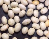 小松菜のお浸し煎り豆和え作り方2写真
