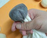 なめらかな表面なあんこ餅作り方6写真