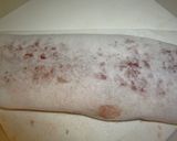 鯖のパセリマスタードソース焼き♪作り方5写真
