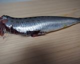 骨まで食べちゃう☆イワシの生姜煮作り方2写真