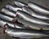 骨まで食べちゃう☆イワシの生姜煮作り方3写真