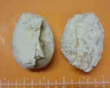 なんちゃって、肉じゃがコロッケ作り方5写真