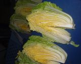漬け容器バージョンです。白菜の漬物作り方1写真
