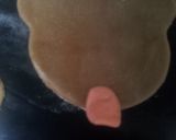 可愛いブルドッグクッキー作り方6写真