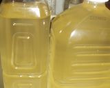 '06 梅シロップの記録(氷砂糖使用)作り方9写真