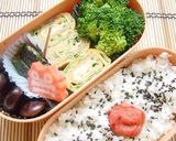 2006年お弁当の記録作り方44写真
