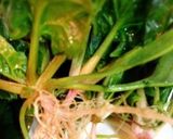 夢色むすめの根っこ甘っ！ほうれん草スープ作り方1写真
