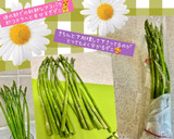 うちの☆アスパラ極める❣下処理＆保存方法作り方60写真