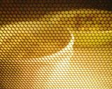 簡単✩きのことシーフードの豆腐グラタン作り方6写真