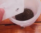 どうせ飲むなら体にも良くてエコな粉茶を！作り方2写真