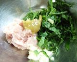 ドイツ・イタリア・和風３国餃子作り方1写真