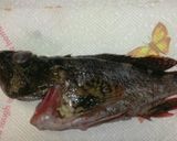 料亭より美味しい漁師の味！簡単煮魚作り方1写真