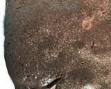 焼くまでに余熱！のブラウニー作り方7写真