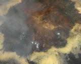 料亭より美味しい漁師の味！簡単煮魚作り方2写真
