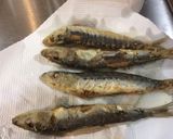 パクパクいけるよ＊いわしの梅肉ソース和え作り方3写真