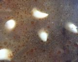 メインになる＊牛肉の煮込みスープ作り方6写真