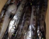 メヒカリの唐揚げ作り方1写真