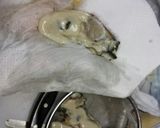 牡蠣とベーコンの香草炒め♪作り方2写真