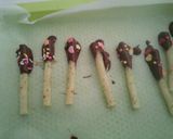 簡単☆じゃがりこ友チョコ バレンタイン作り方4写真