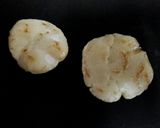 離乳食おやつ(1歳～)＊白玉せんべい作り方3写真