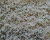 京都発 ちりめん山椒作り方4写真