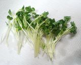 生ハムとクリームチーズのおつまみ作り方1写真