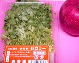 リンゴ＆セロリの葉deちょこっとサラダ作り方1写真
