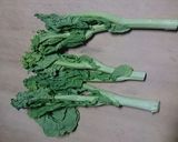 ベイカの煮物 我が家の味作り方7写真
