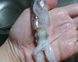 ベイカの煮物 我が家の味作り方5写真