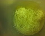 野菜たっぷり❤我が家のビーフン作り方4写真